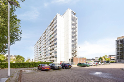 Plein 1953 179