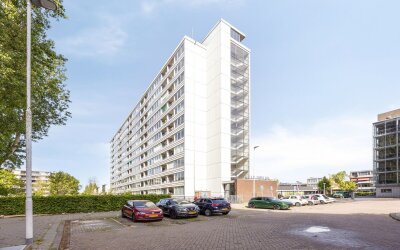 Plein 1953 179