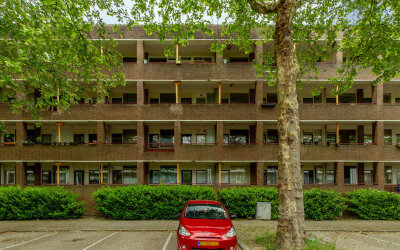 Hontenisses. 136