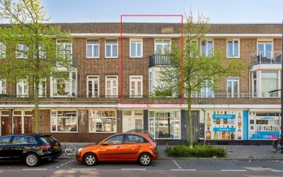 Boerhaavela. 75-A
