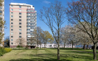 Maasbouleva. 64