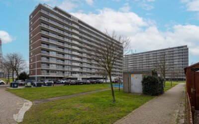 Vlaardinger. 258