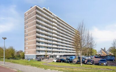 Vlaardinger. 468
