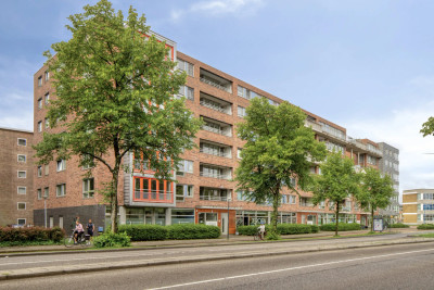Nieuwe Damlaan 878