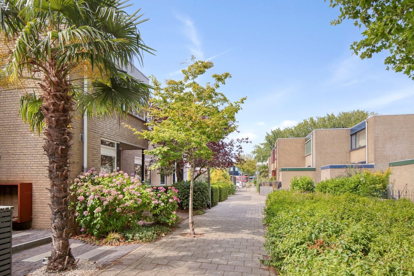 Tussenwoning te koop: Hargplein 66, Schiedam