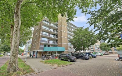 Albert van Raalteplein 128