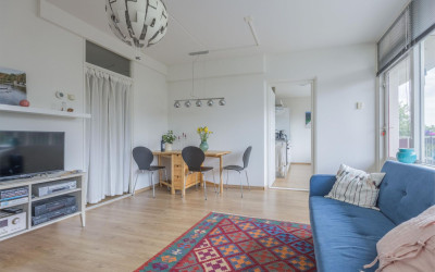 Bachplein 271