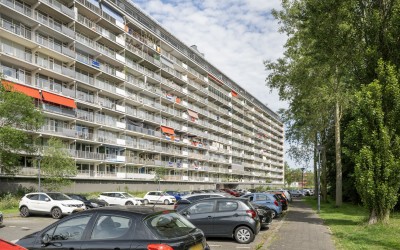 Bachplein 533