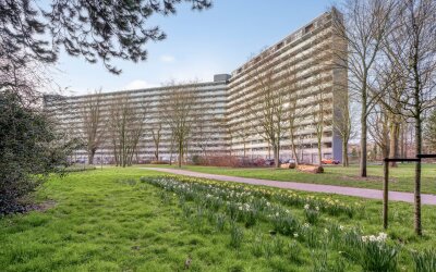Chopinplein 145
