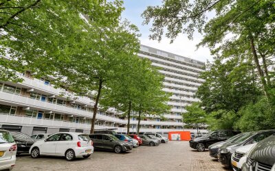 Griegplein 45