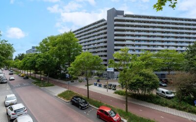 Griegplein 91