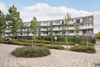 De Velden 24