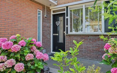 Dilleveld 17