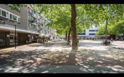 Liesveld 41