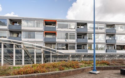 Liesveld 86