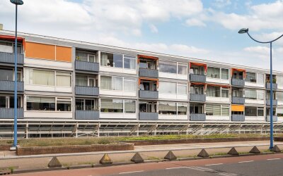 Liesveld 94
