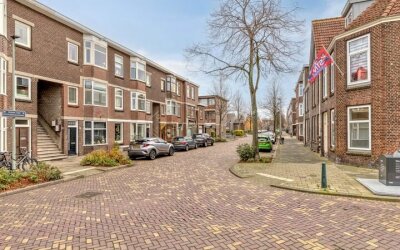 Groen van P. 43