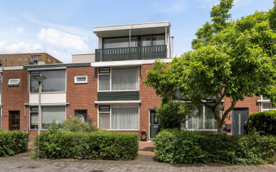 Marinus van. 8