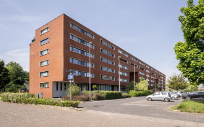 Frank van B. 29-B