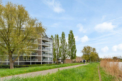 Jan Thijsse. 5