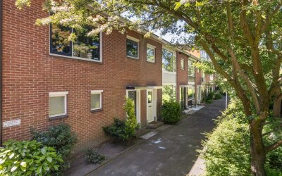 Boerhaavestraat 137