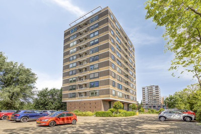 Boerhaavestraat 269