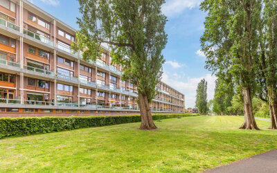 Gijsbrecht. 248