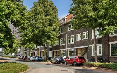 Schiedamsew. 210