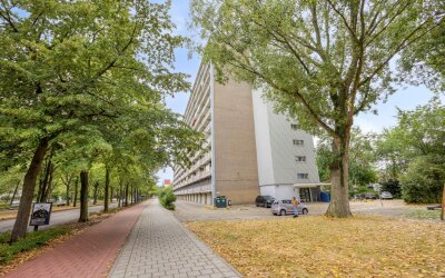 Holysingel 108