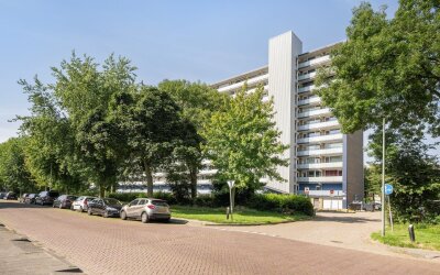 Holysingel 226