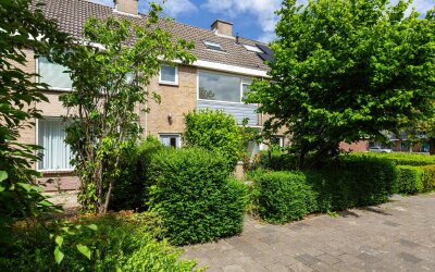 Bosuilstraat 46