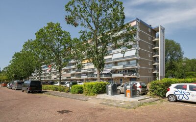 Buizerdstraat 74