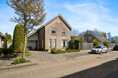 Rietdekker 25