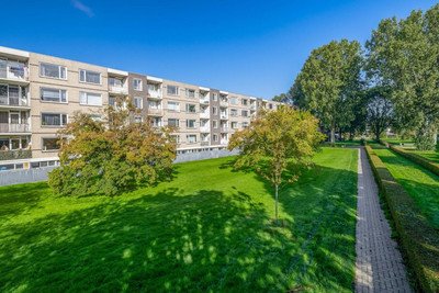 Ruygeplaat 117