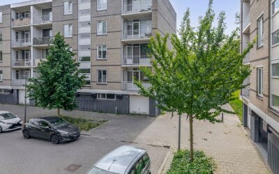 Ruygeplaat 153