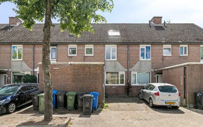 Reiger 49