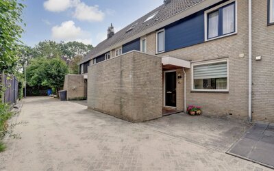 Schout Lems. 8