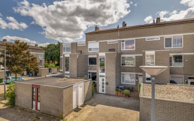 Hallant 6