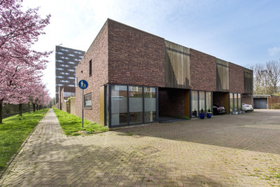 Zonnebaarss. 6