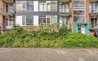Wijnruitstraat 31