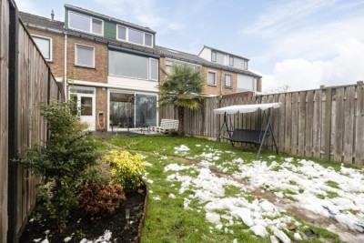Frans Halsstraat 49
