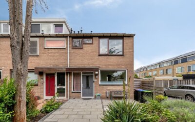 Kikkerveen 215