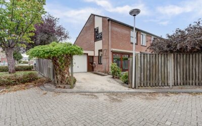 Kruidvlierd. 2