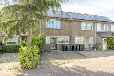 Korenaar 90