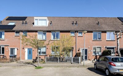 Oranjetip 16