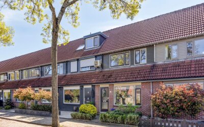 Steenhouwer 2