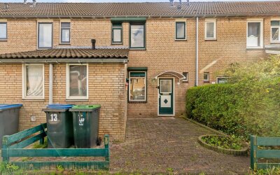 Konijn 13