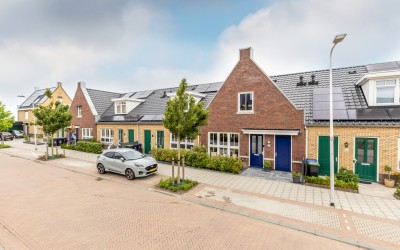 Korenbloem 33
