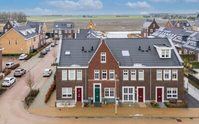 Korenbloem 51