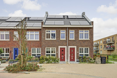 Korenbloem 54